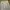Rok satin cream photo 6