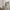 Rok satin cream photo 10