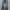 CUTTLE Double-Waist Flare Jeans photo 1