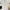 T shirt Tapped Fred perry White gold photo 1