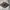 Chanel Luxury Scarf Wanita multicolor photo 2