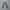 Wrangler Loose Straight Jeans photo 2