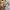 CONVERSE SWEATSHIRT LONG SLEEVE GREY photo 4