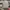 CONVERSE SWEATSHIRT LONG SLEEVE GREY photo 2