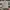 CONVERSE SWEATSHIRT LONG SLEEVE GREY photo 1