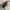 Carhartt WIP Essentails Bag Small Black  photo 4