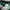 JERSEY BASKET MILWAUKEE BUCKS ANTETOKOUNMPO photo 4