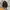 Carhartt 21L Classic Laptop Daypack Black photo 1