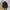 Carhartt 21L Classic Laptop Daypack Black