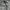 Triple J Denim longpants broken white jeans, Loose Fit photo 5