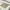 Burberry Luxury Scarf Wanita multicolor photo 2