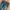 Roxy bootcut flared jeans photo 6