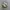 New Balance 1906R White Gray photo 2