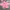 OCT. | Croptop kerut pink photo 1