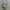 New Balance 1906R Auralee photo 1