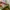 New Balance 1906R Auralee photo 6
