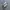 Salomon XT-6 White Lunar Rock photo 1