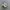 Salomon XT-6 White Lunar Rock photo 2