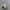 Salomon XT-6 White Lunar Rock