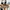 New Balance 991v2 Made in England photo 4