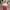 red high waist straight leg jeans merah SOMETHING EDWIN photo 4