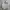 Casual canvas work jacket Bean Pole photo 1