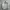 Casual Canvas Work Jacket Bean Pole