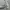 Casual canvas work jacket Bean Pole photo 5