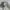 Casual canvas work jacket Bean Pole photo 2