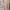 Korean Flowy Dress Flower Peach photo 1