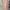 Korean Flowy Dress Flower Peach photo 2
