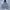 Russell Athletic Vintage Hoody Pria gray photo 1