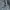 Russell Athletic Vintage Hoody Pria gray photo 4