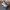 NB 327 Moonbeam Linen  photo 2