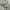 Burberry vintage harrington jacket photo 6