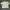 Pastel Green Knit Top Korean Style photo 1