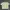 Pastel Green Knit Top Korean Style