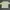 Pastel Green Knit Top Korean Style photo 2