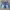 JORTS DENIM UNFINISH CUT  photo 1