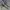 cowboy boots usa photo 2