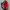 Slingbag Manhattan Portage New York photo 8