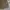 Knitwear Outer Full Button Cable Unknow photo 6