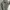 BULANG REVELSIBLE KAPPA ORIGINAL photo 10