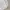 Nike Small Swoosh White Sweatshirt photo 4