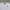 Nike Small Swoosh White Sweatshirt photo 3