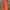 Short Pants Kappa Taped  photo 1