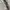 Buzz Rickson’s x Beams boy ‘US army’ repro trouser pants photo 5