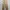 Buzz Rickson’s x Beams boy ‘US army’ repro trouser pants photo 1