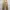Buzz Rickson’s x Beams boy ‘US army’ repro trouser pants photo 2