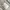 New Balance Casual Sportswear Bag Pria white cream photo 6